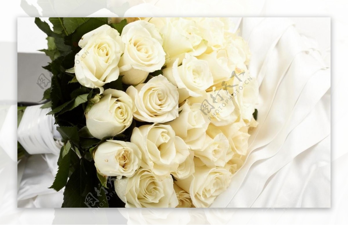 美丽的白玫瑰花束图片
