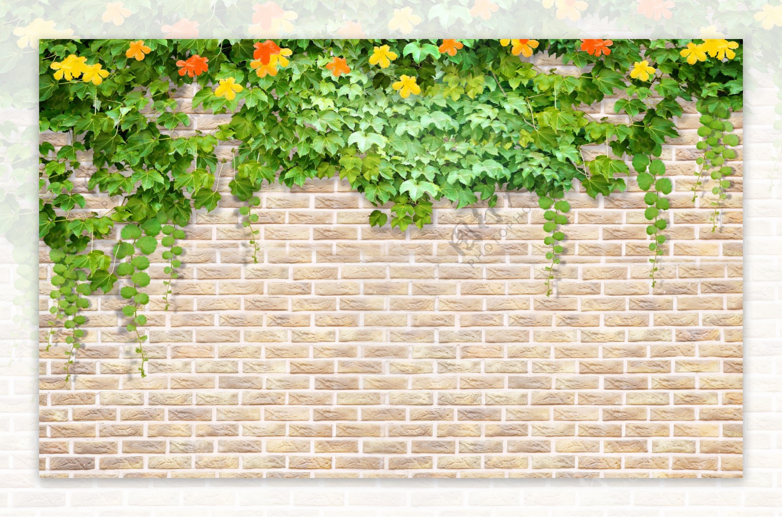 砖墙绿色花卉背景