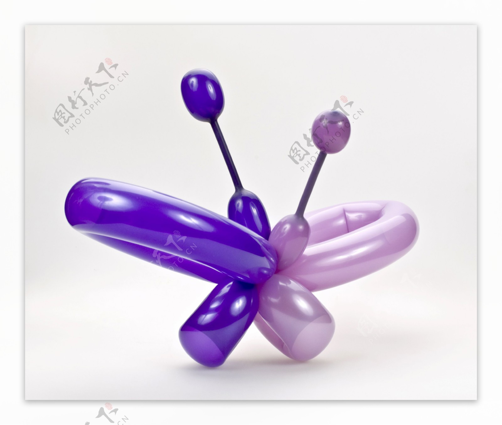 紫色气球蝴蝶