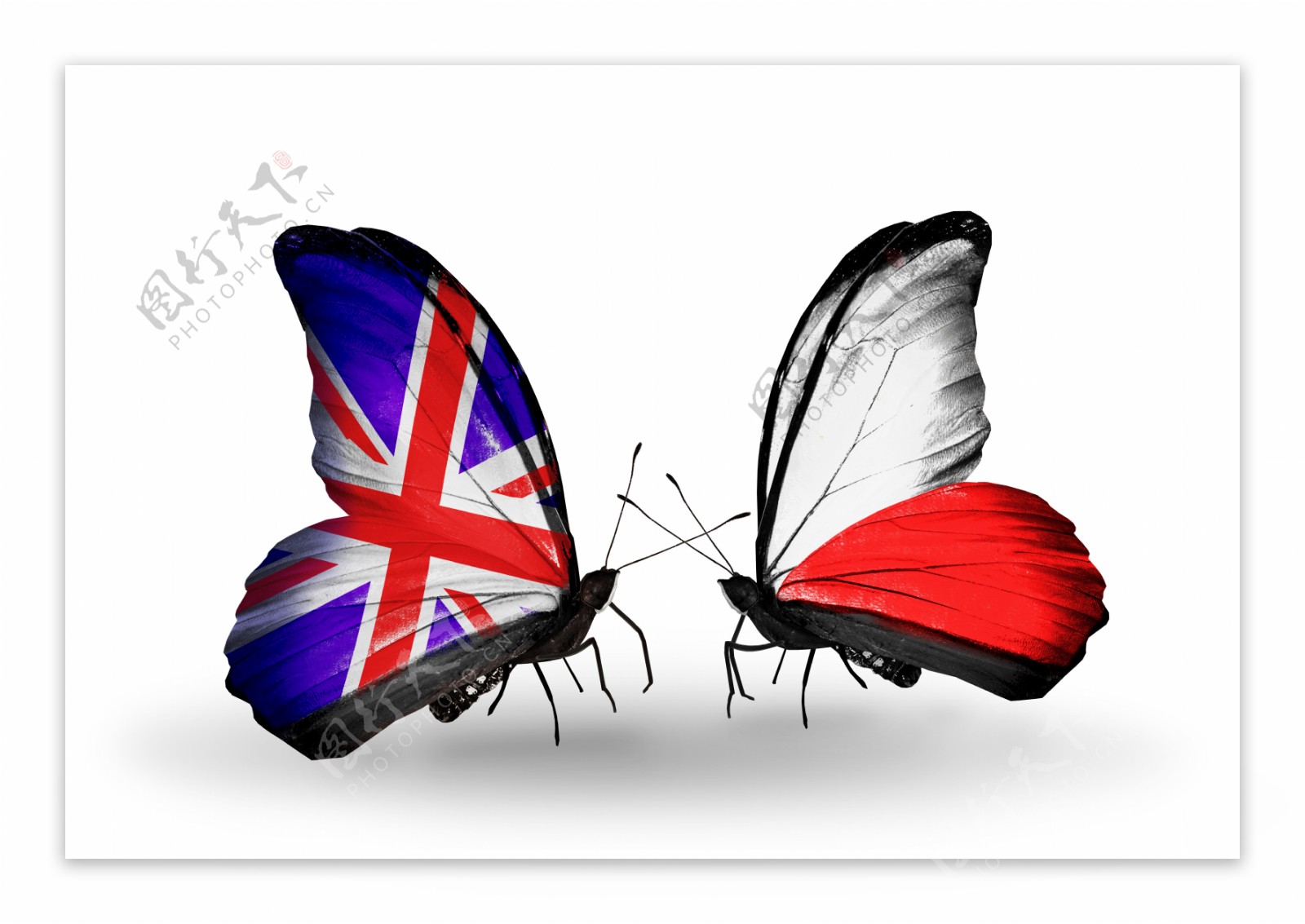 英国国旗与蝴蝶