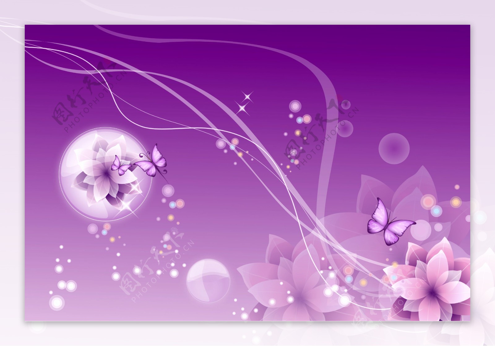 紫色背景花卉背景墙