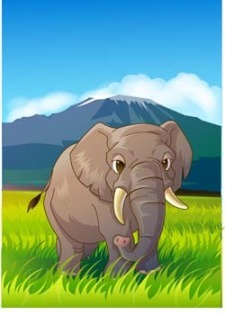 大象12
