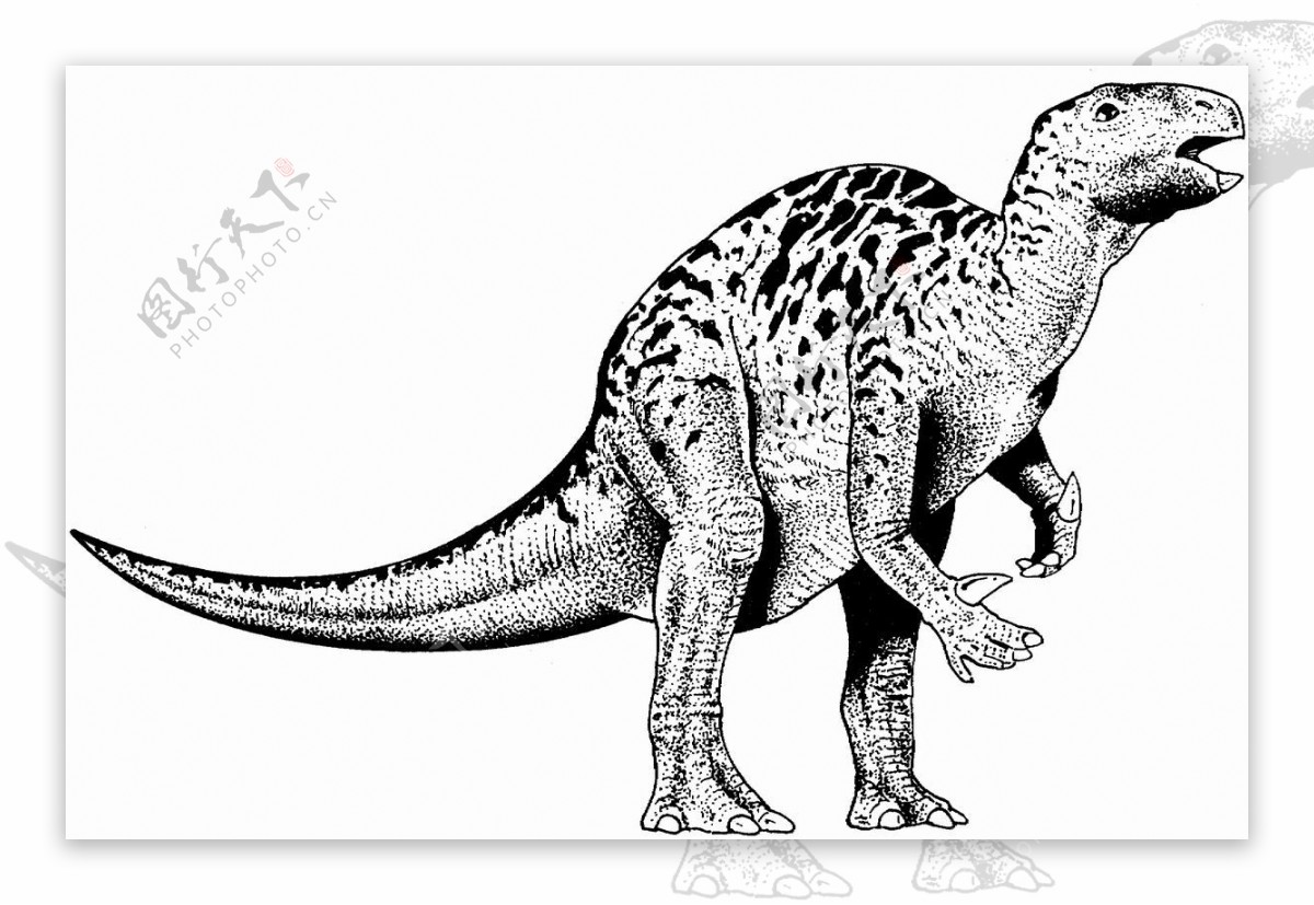 恐龙素描图片素材-编号27094682-图行天下