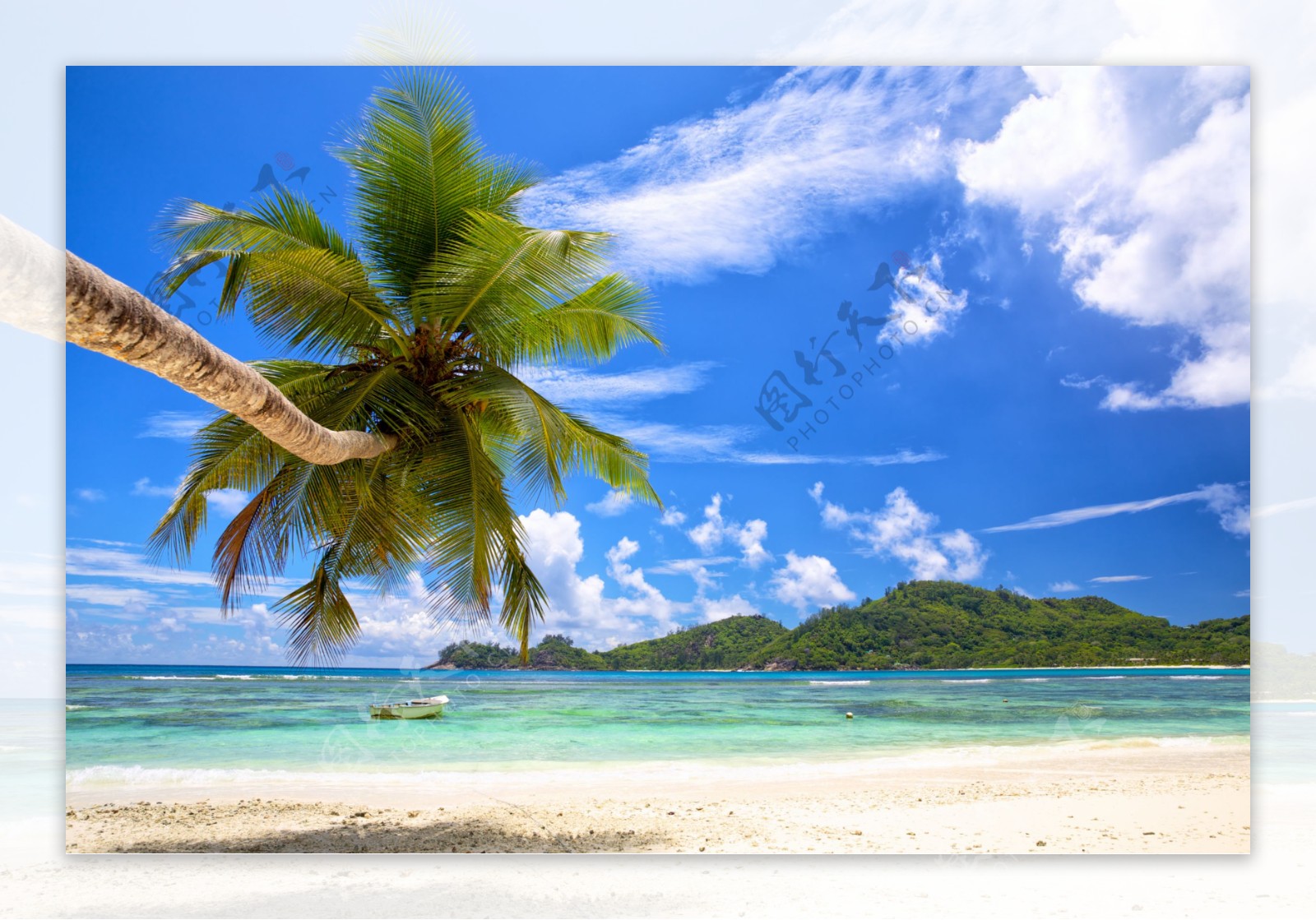 椰树与沙滩风景图片