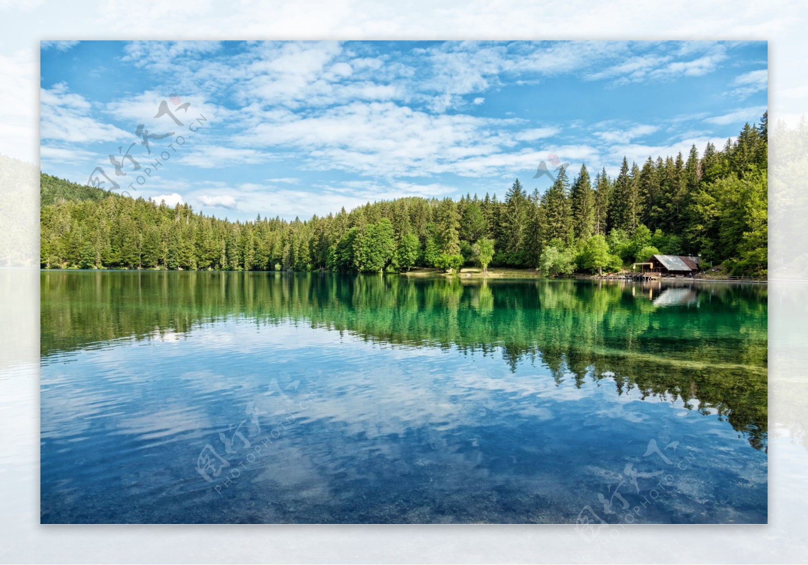 美丽湖面树林风景图片