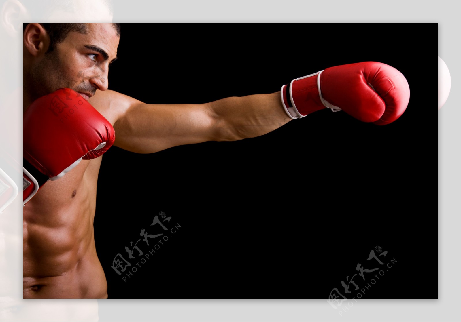 肌肉男拳击手图片