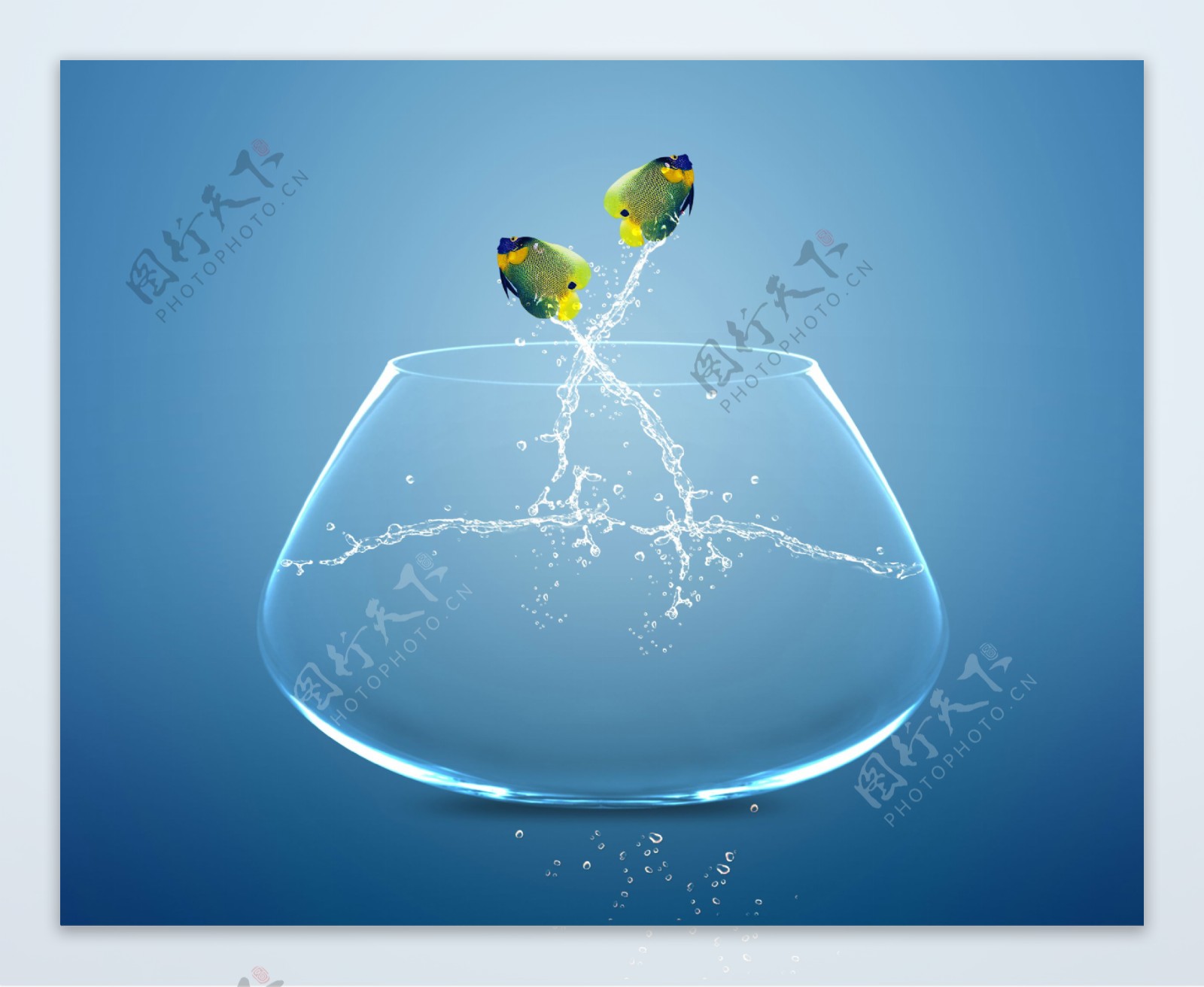 玻璃鱼缸的鱼与飞溅的水花