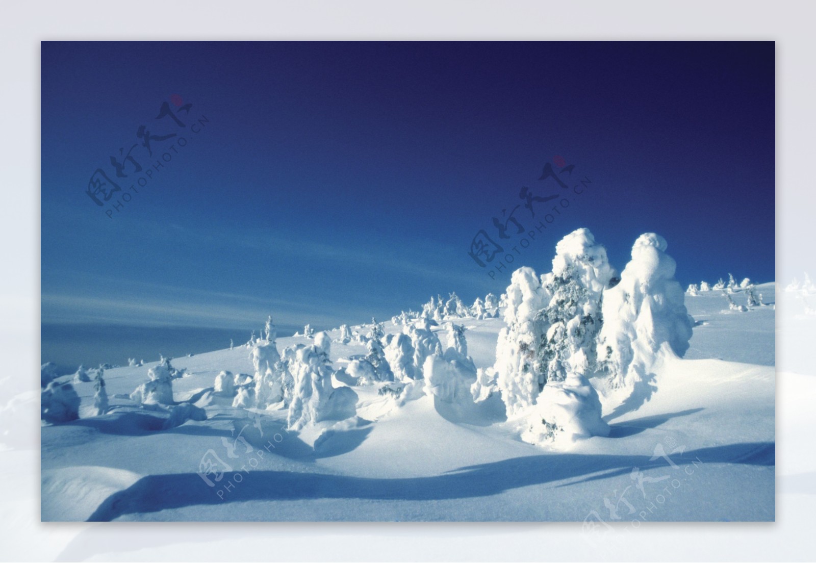 雪景特写