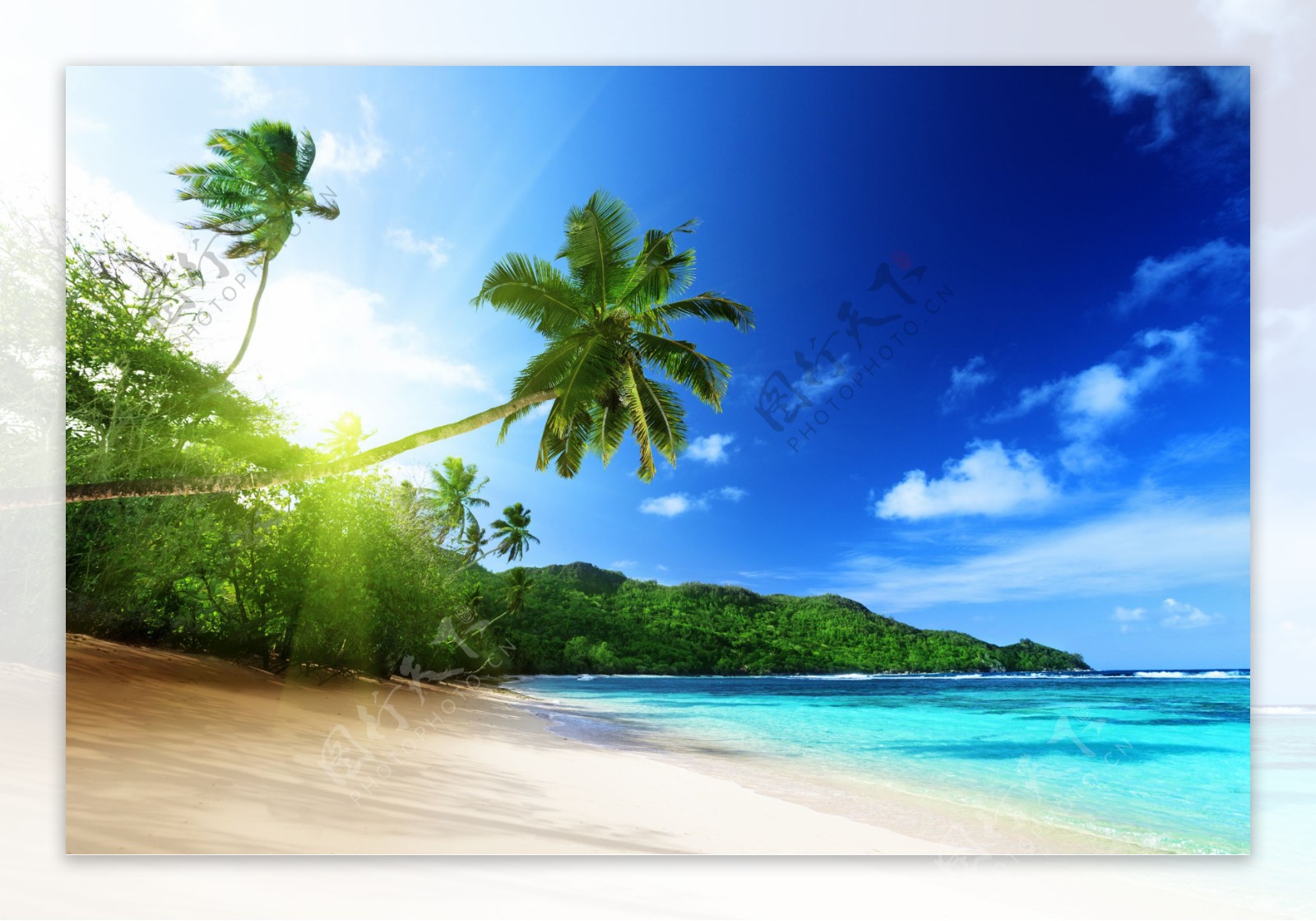 海边沙滩椰树和阳光