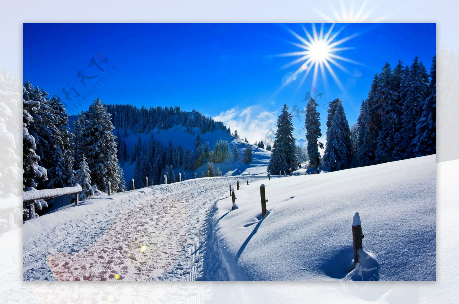 寒冬雪景图片