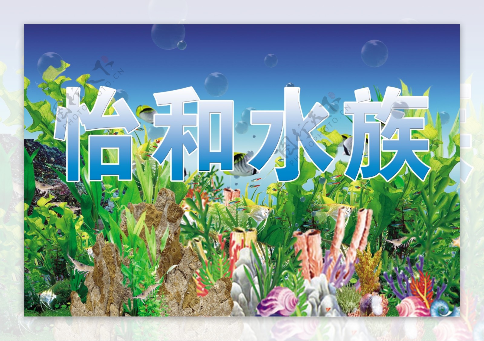 怡和水族广告