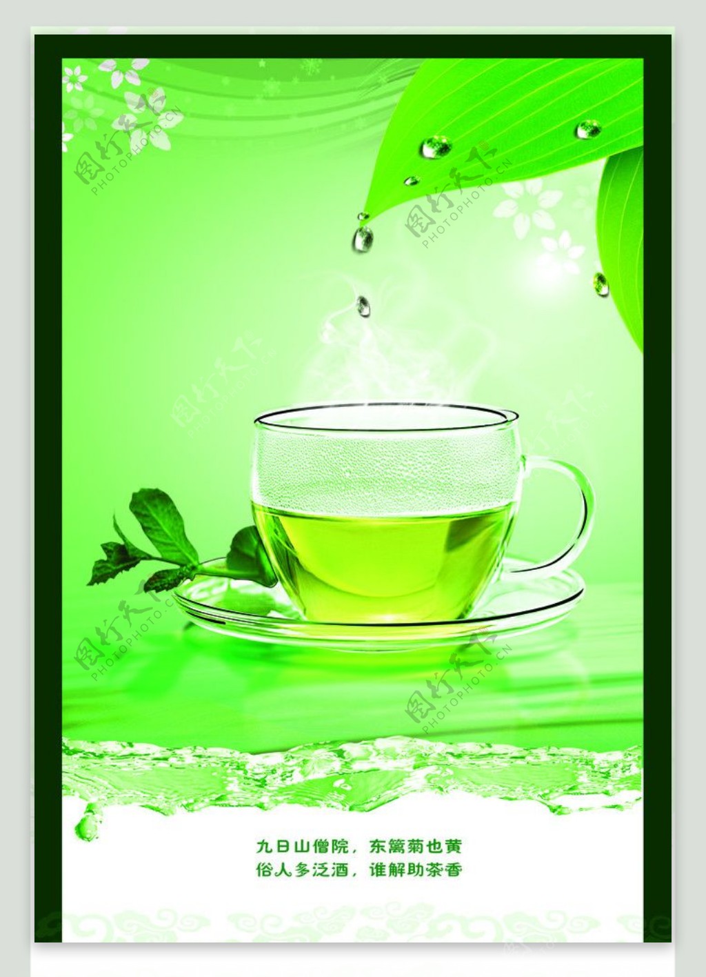 清新绿茶广告
