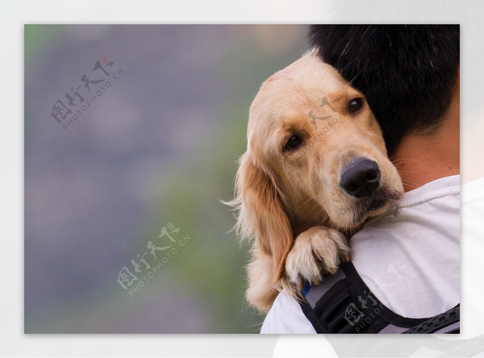 抱着狗狗的男孩