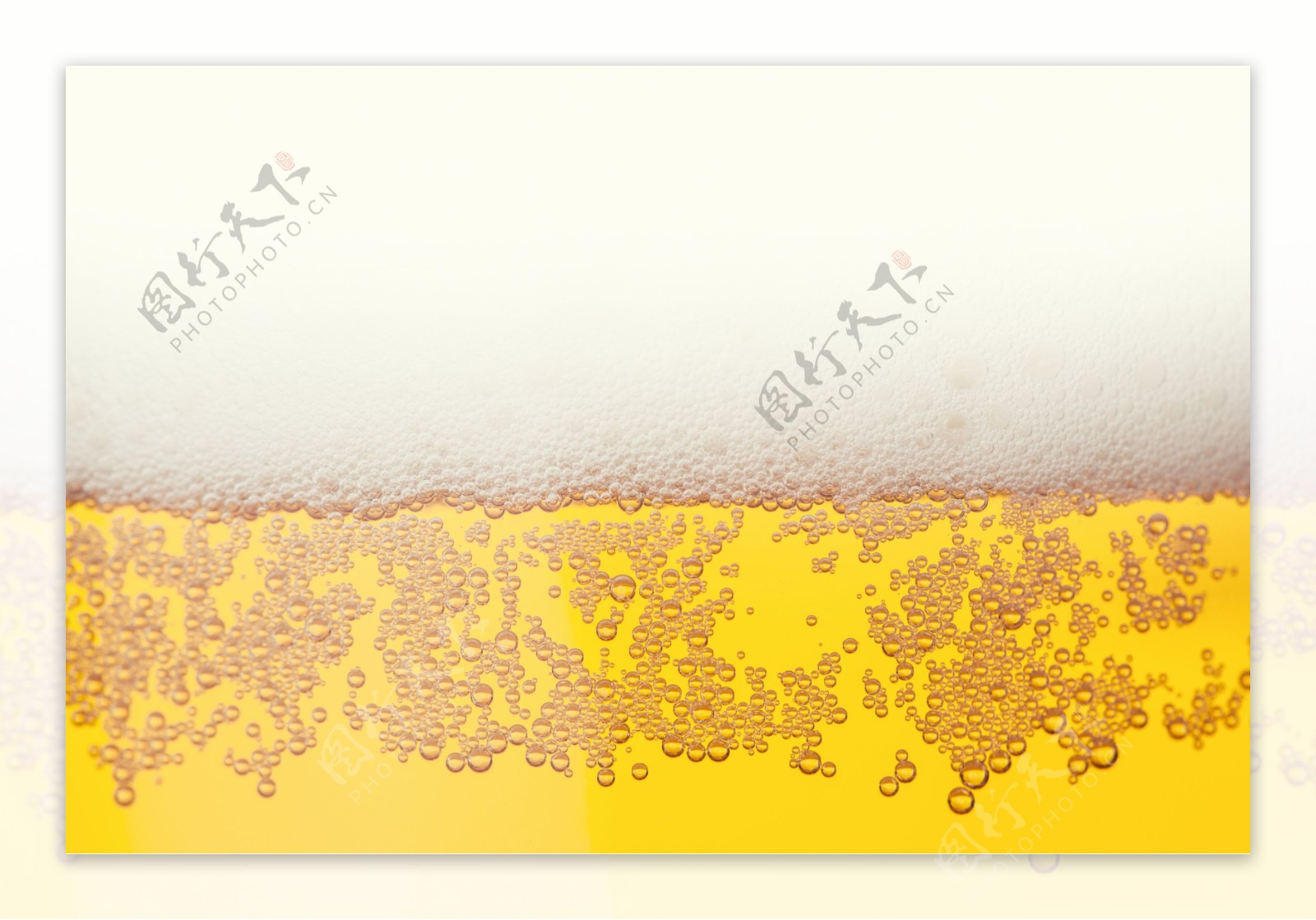 啤酒和泡沫图片