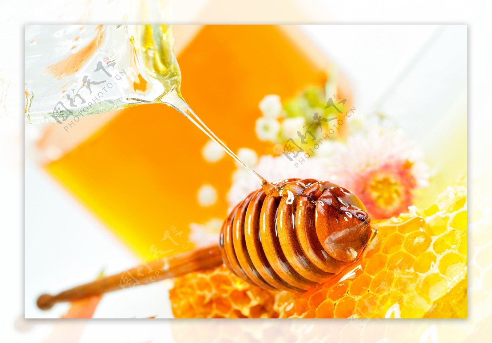 高清蜂蜜背景素材图片