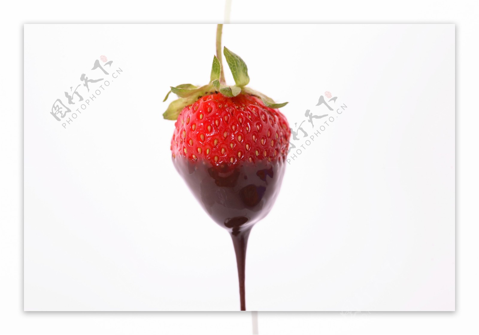 沾满巧克力的草莓图片