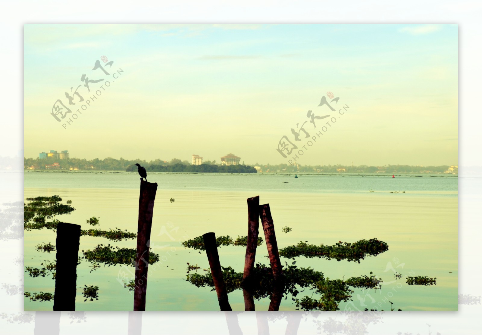 清新湖泊风景图片