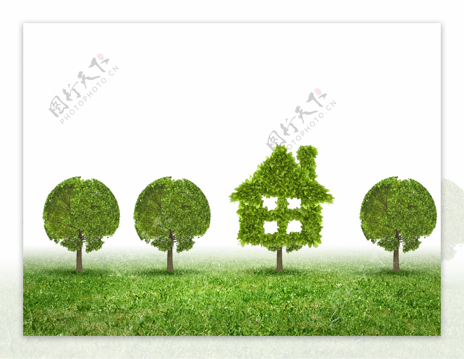 清新草地树木图片