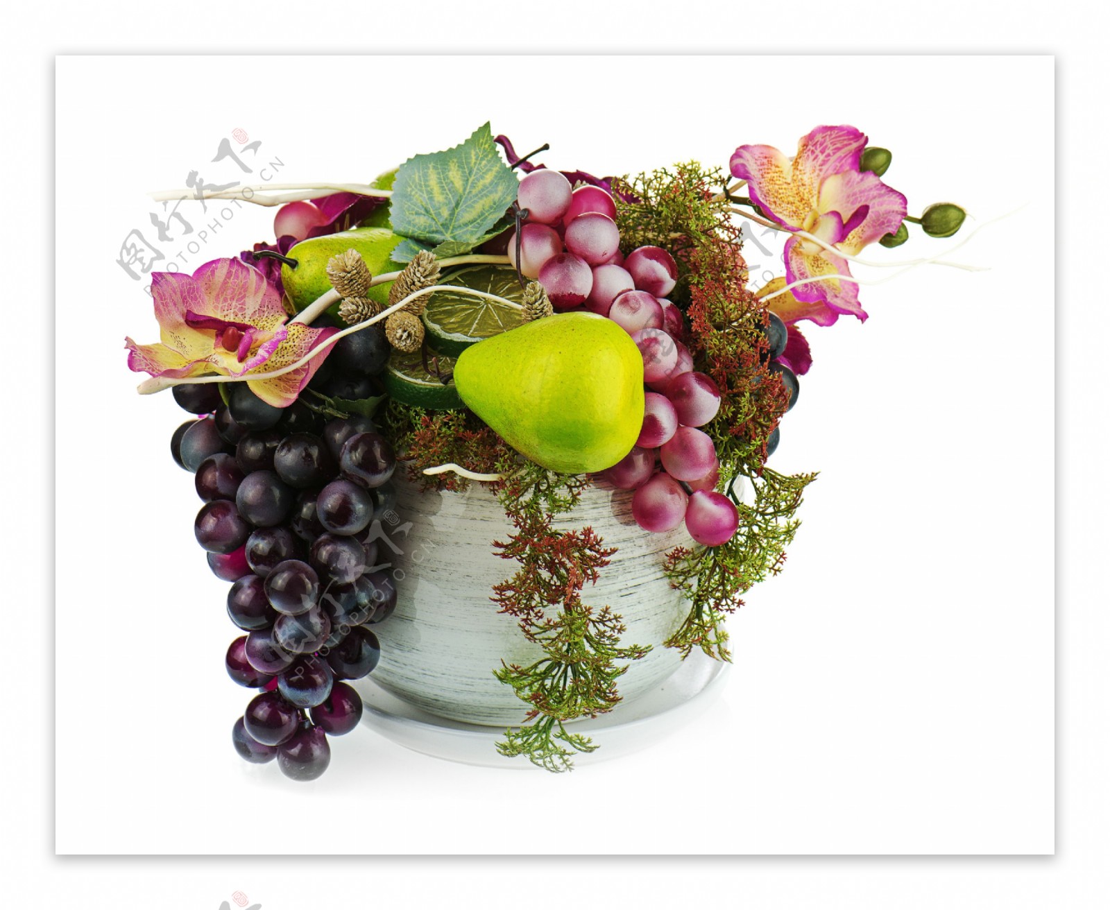 花盆里的葡萄图片