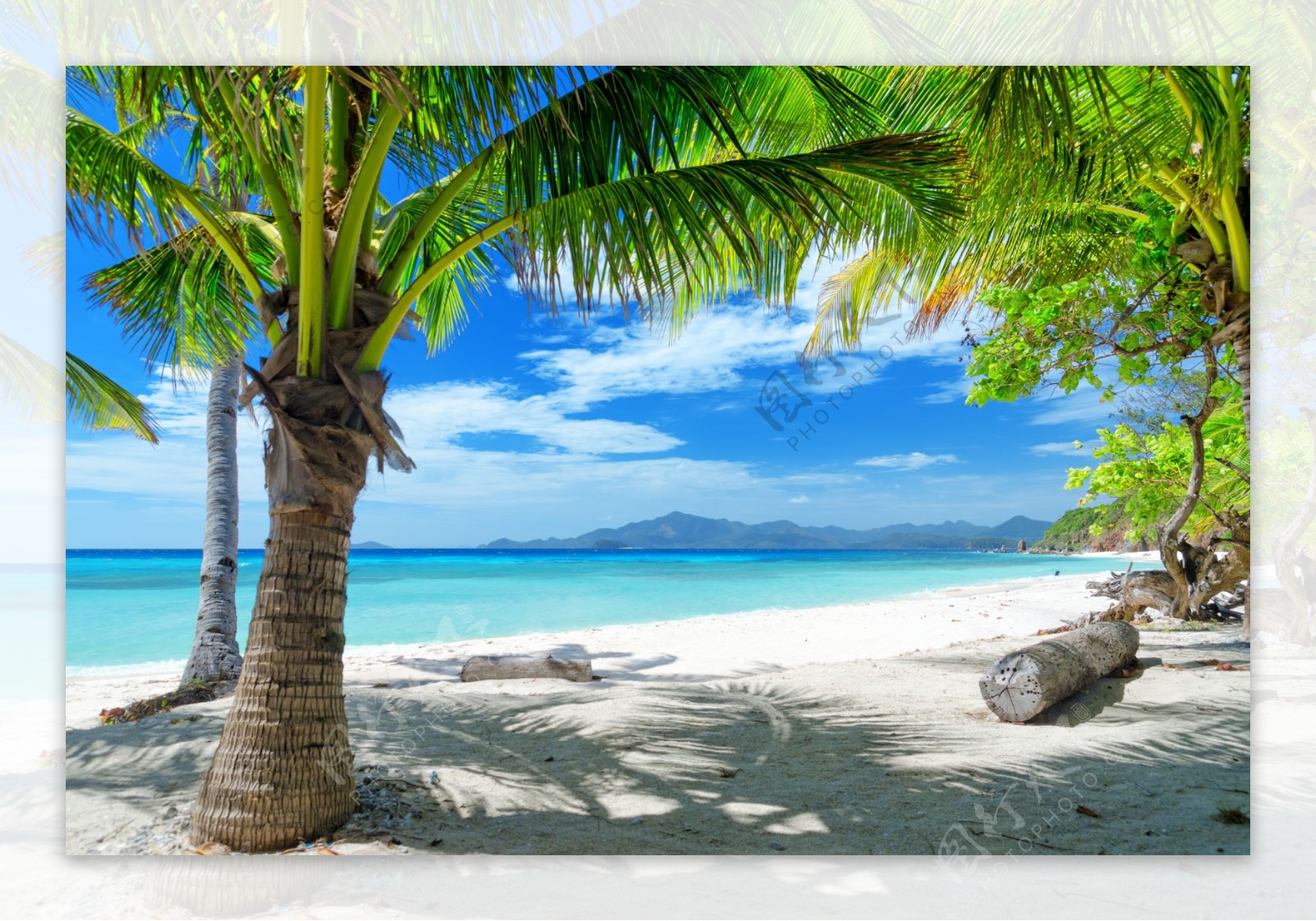 海边沙滩椰树风景