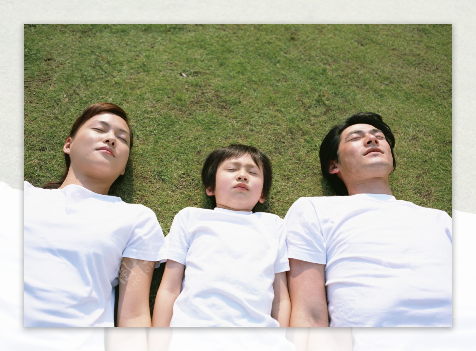 躺在草坪上的一家三口图片
