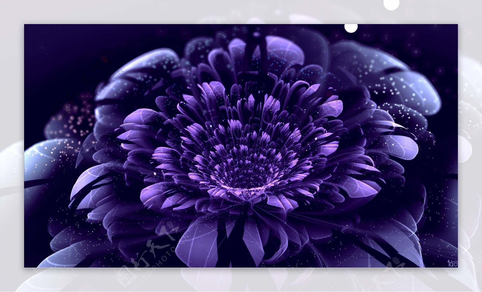 唯美梦幻紫色花卉图片