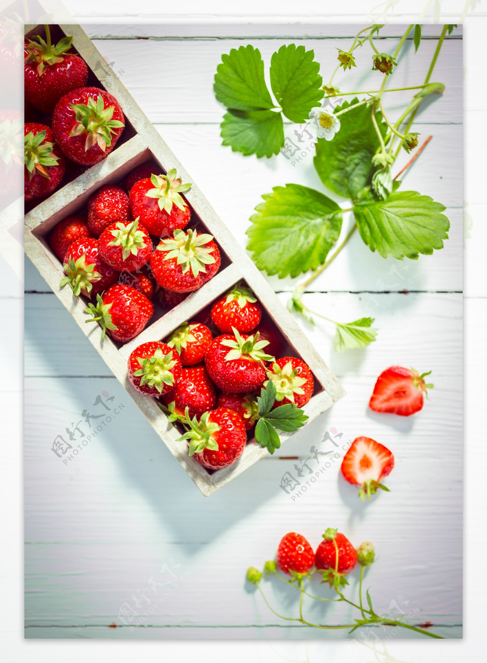 新鲜草莓摄影