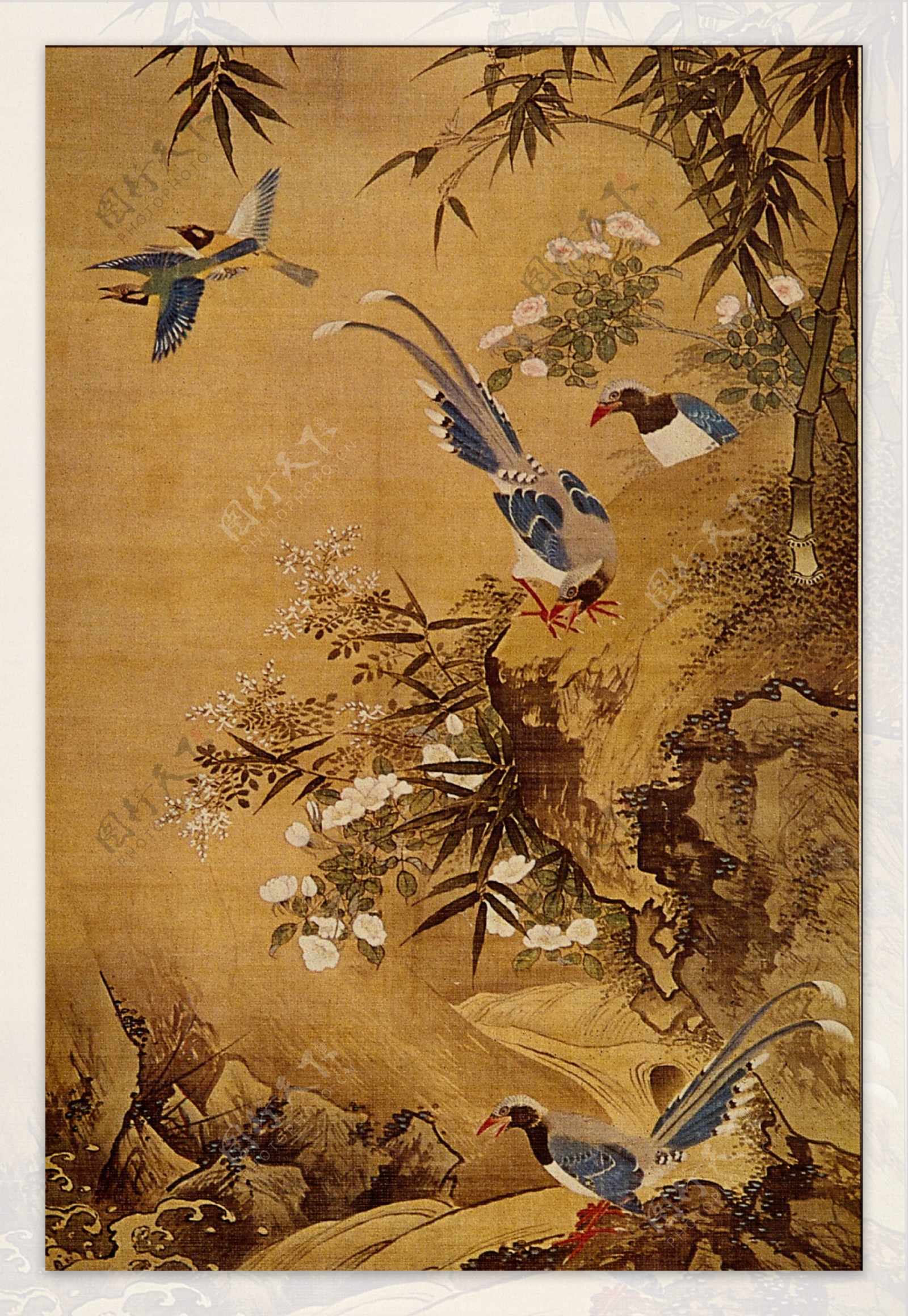 花鸟画中国古画0010