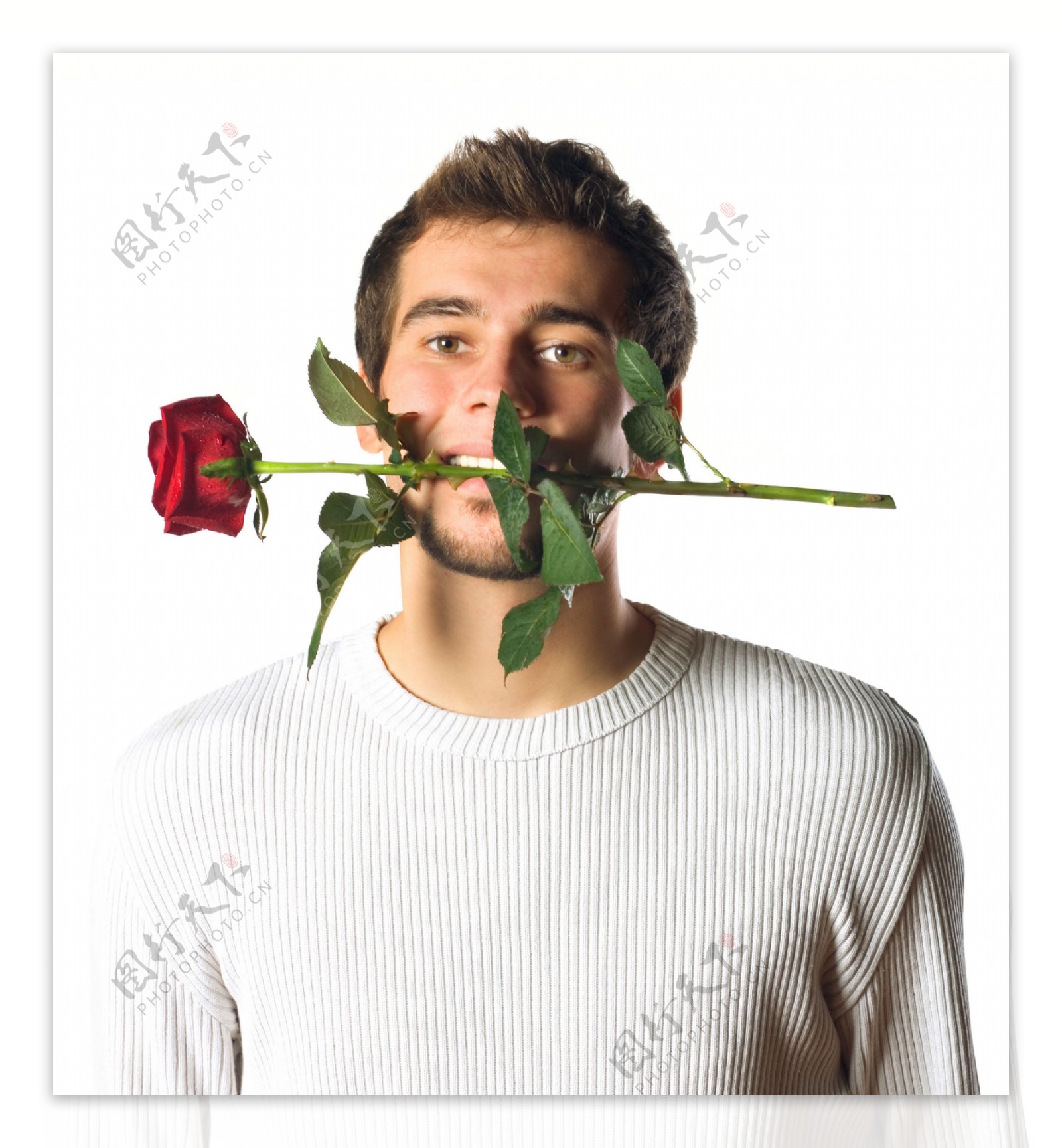 嘴叼玫瑰花的男人图片图片