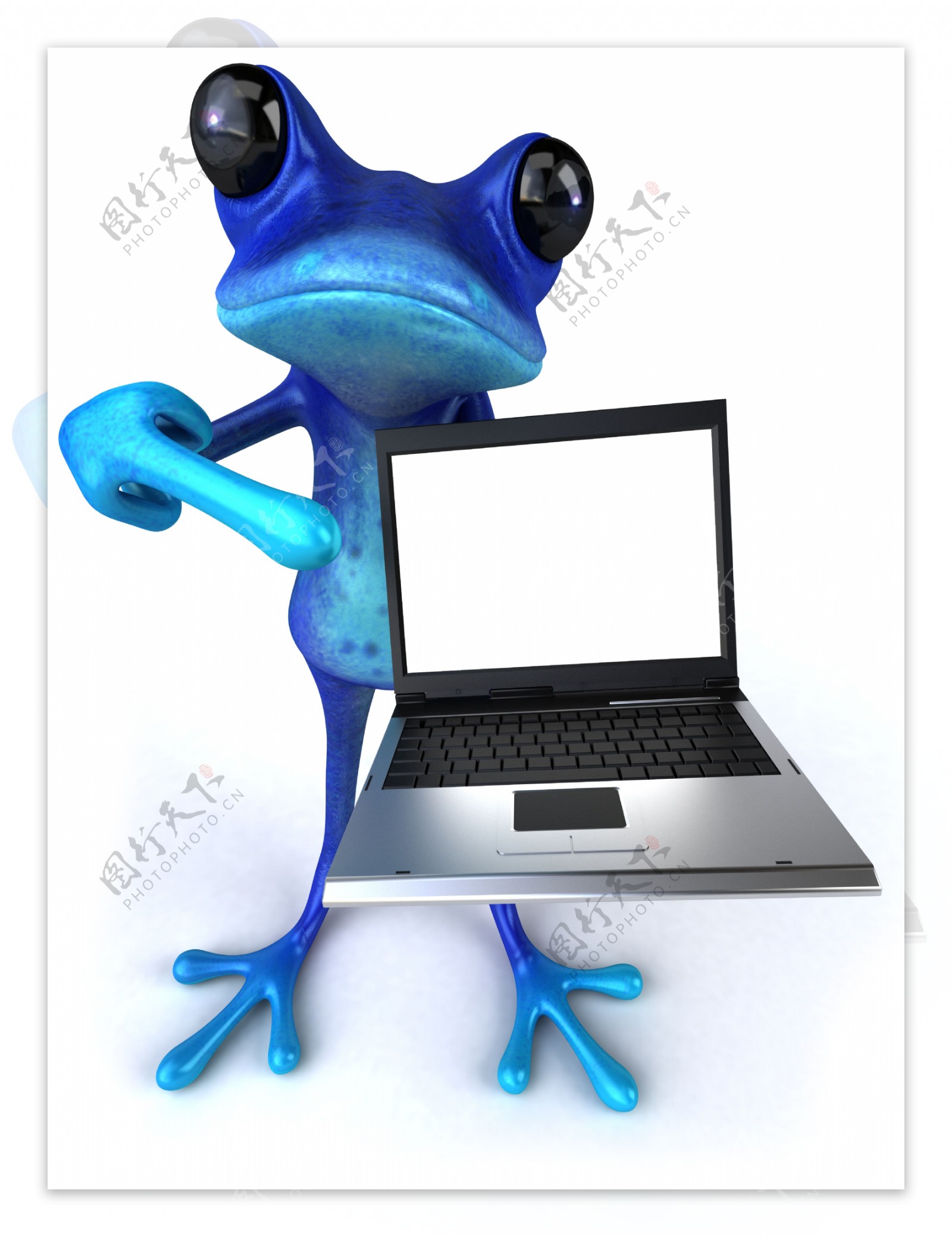 青蛙和电脑图片