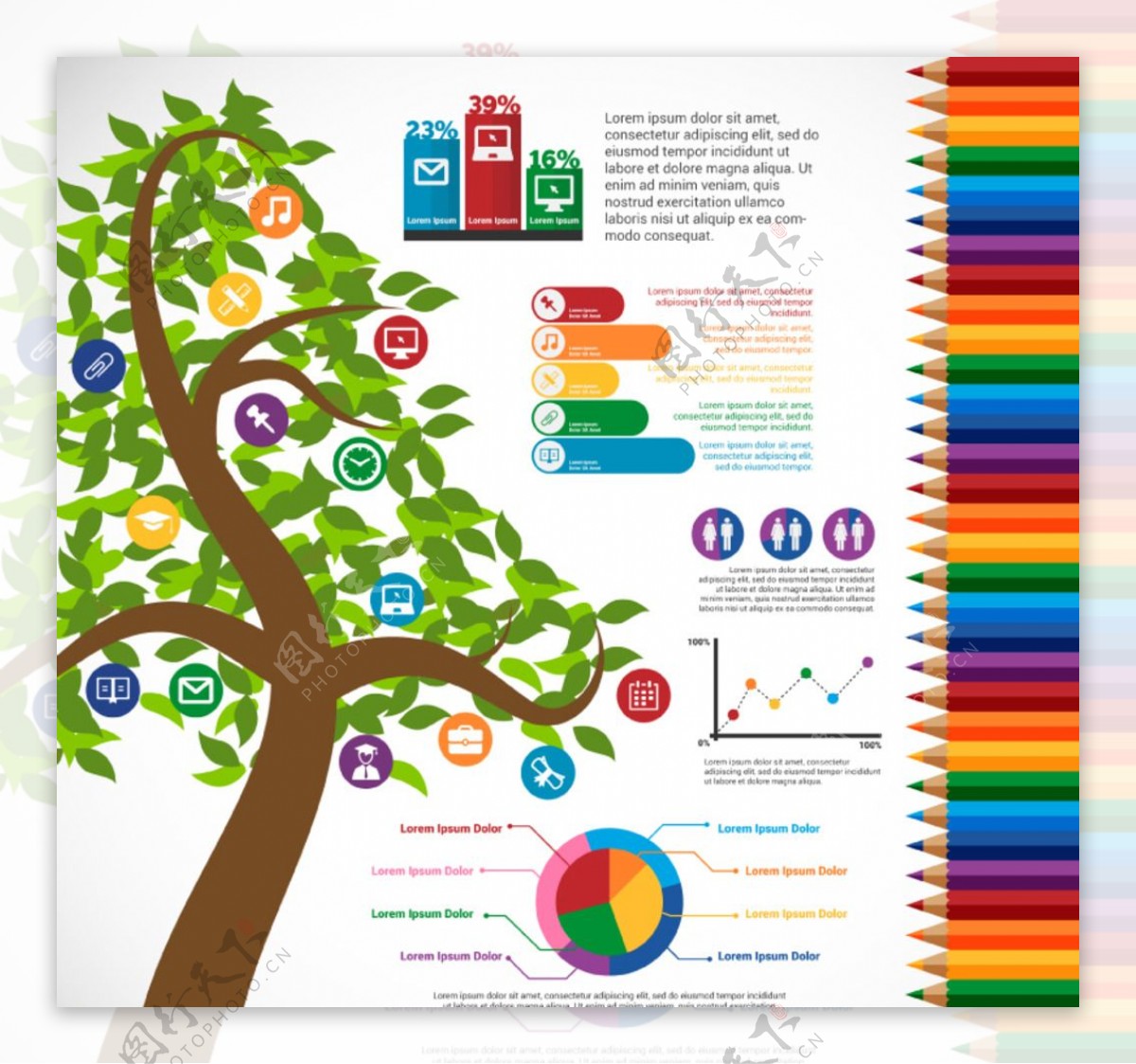 树木教育信息图