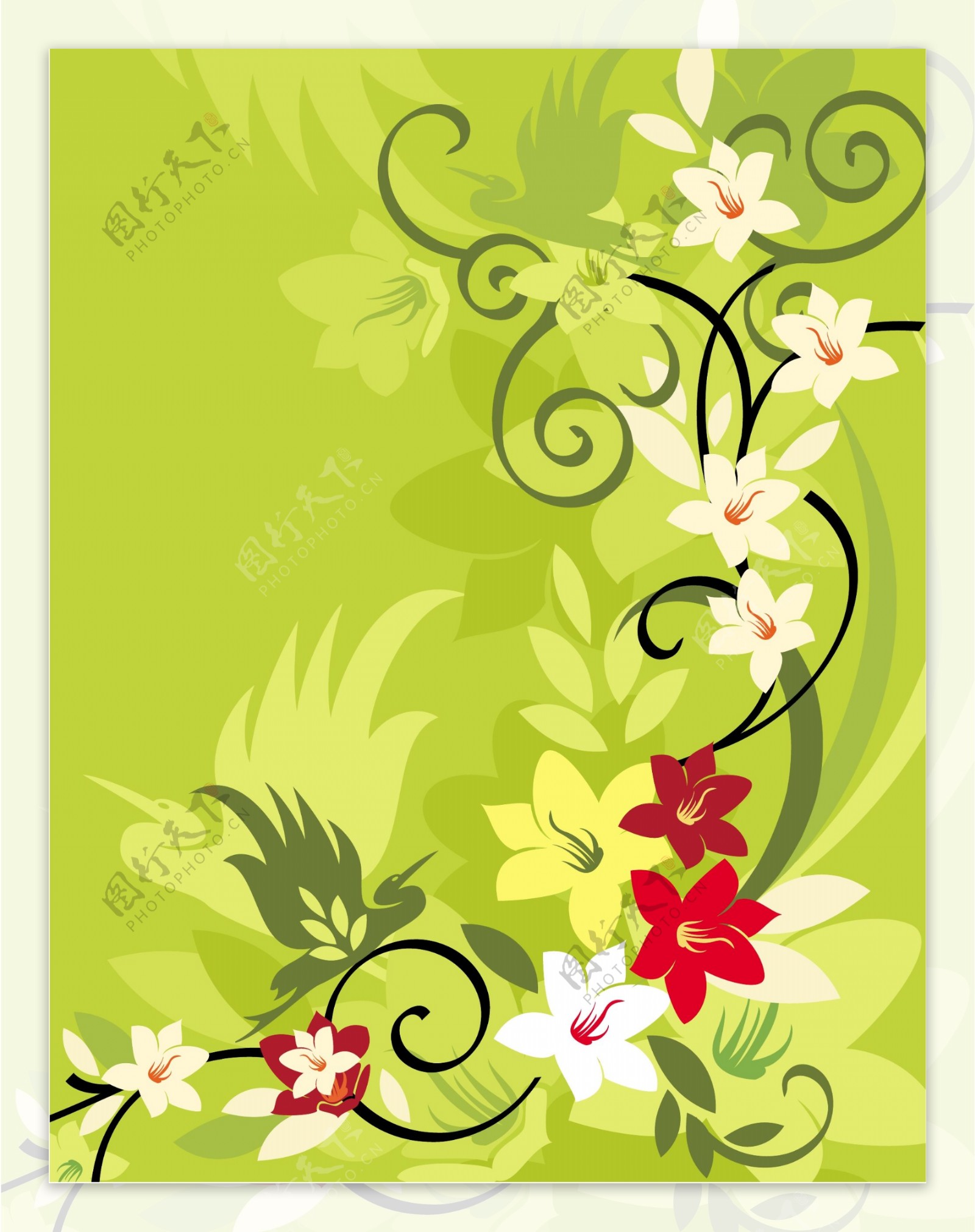 矢量花卉素材背景图案设计