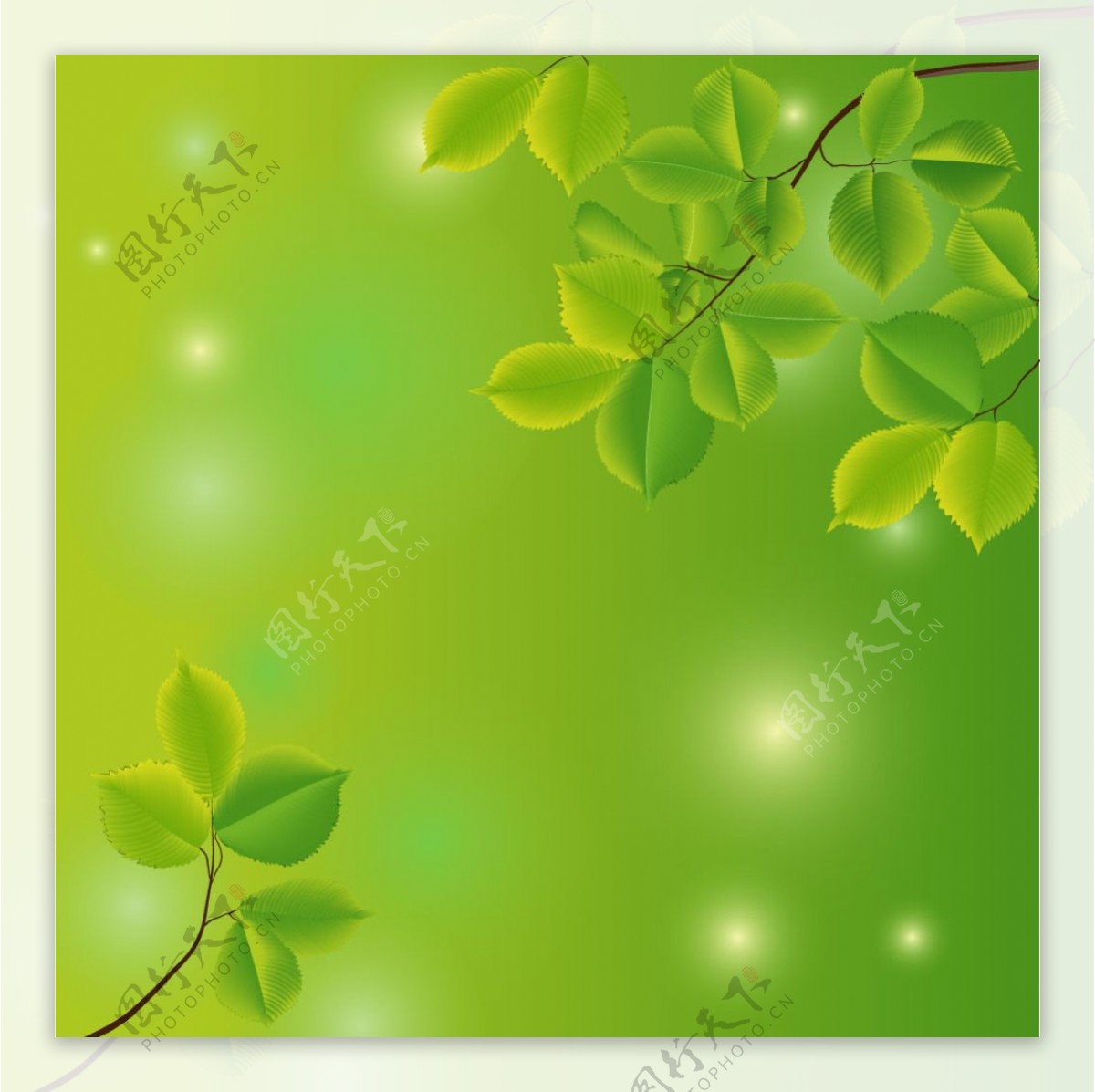 树枝和树叶的绿色背景矢量素材
