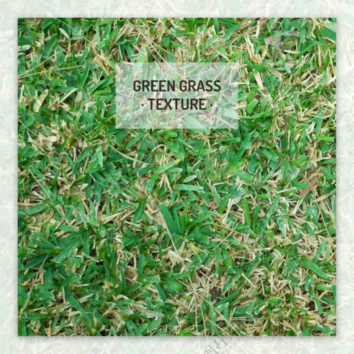 绿色逼真草地背景矢量素材
