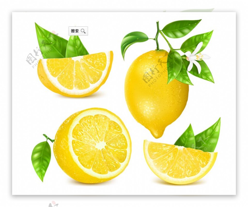 黄柠檬矢量素材