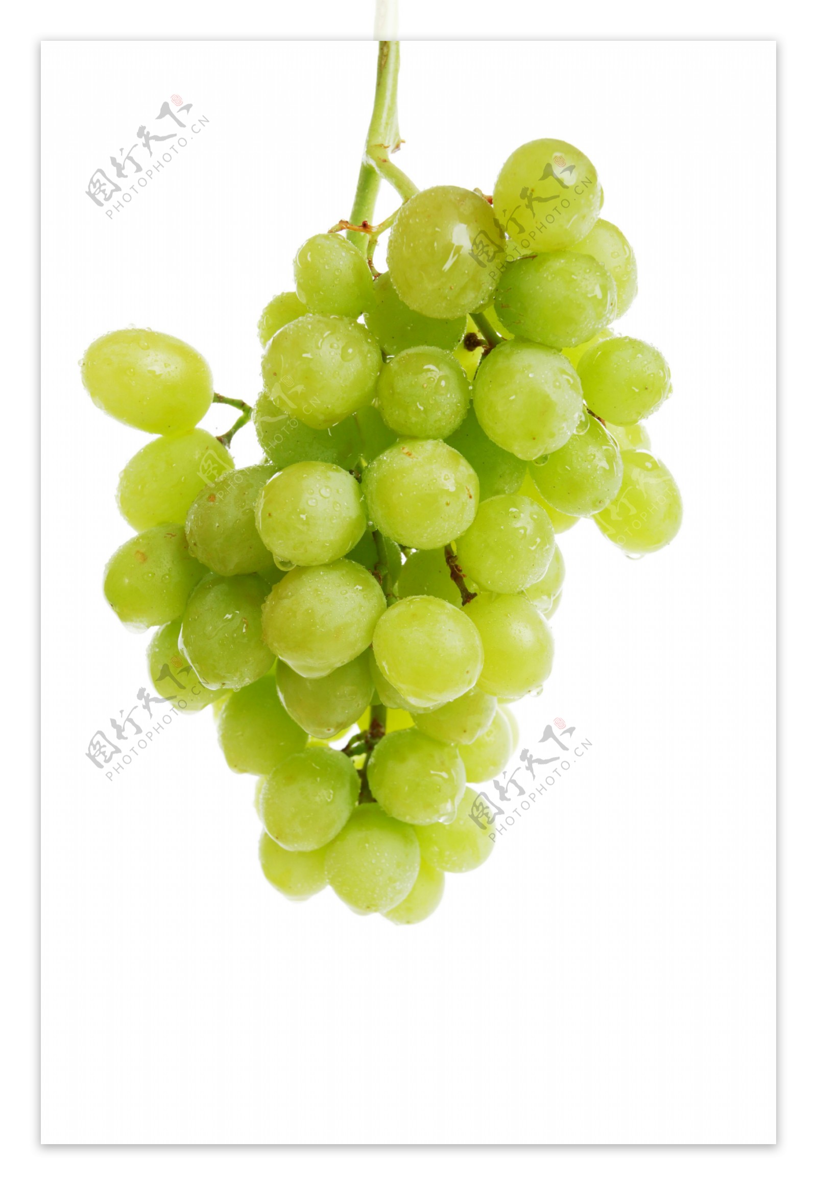 高清葡萄