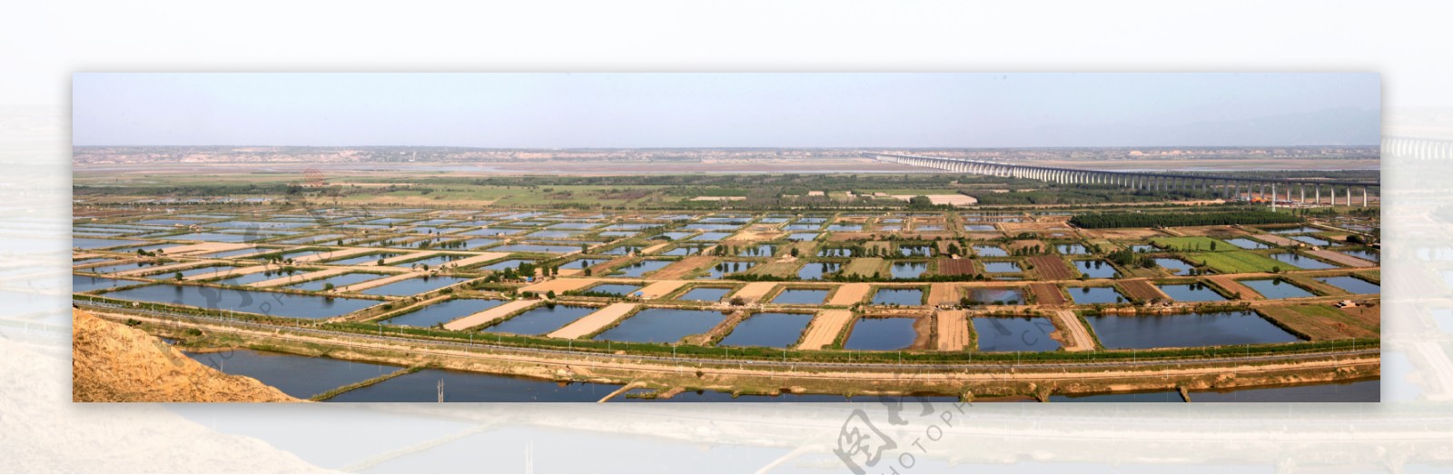 合阳黄河湿地图片