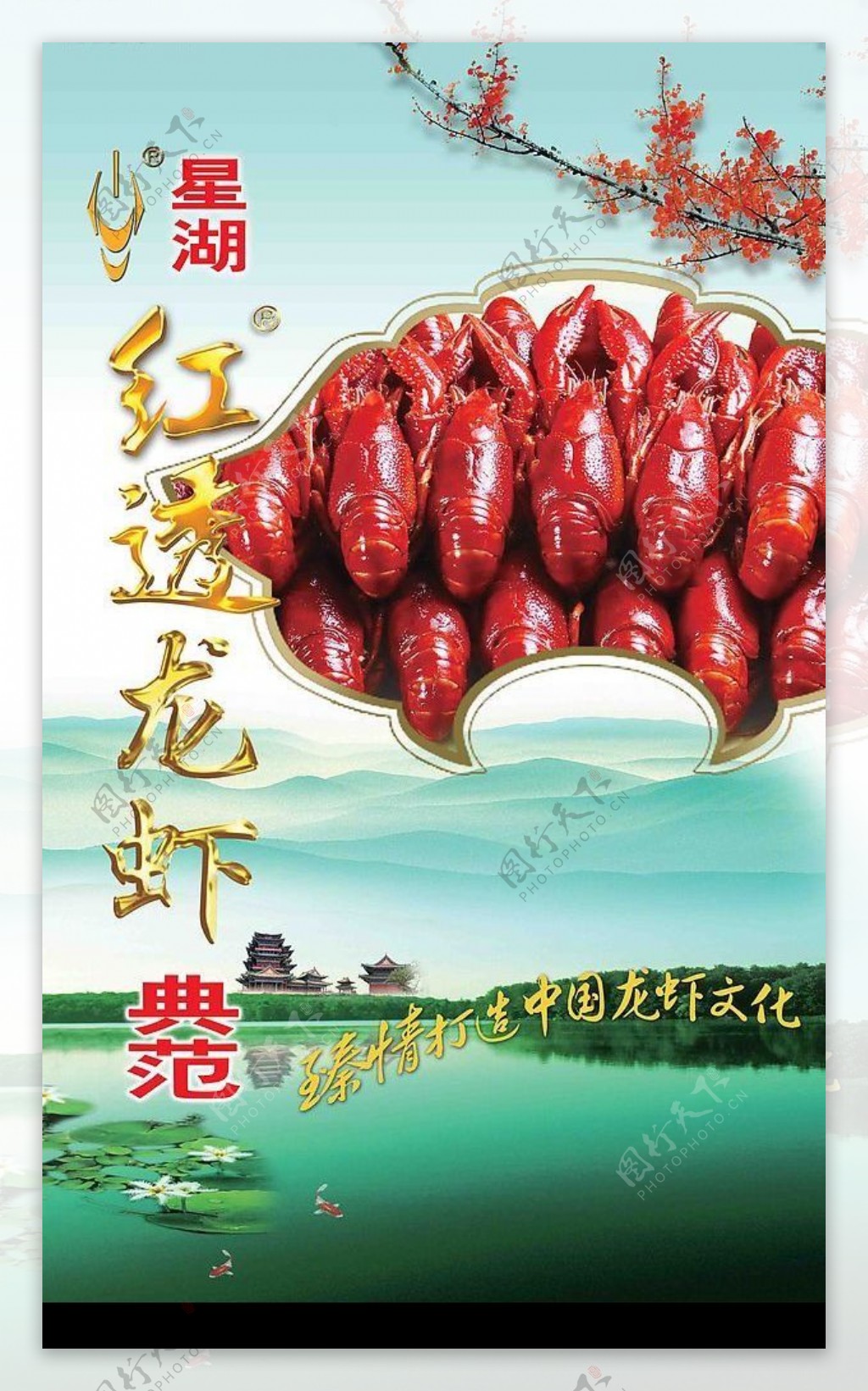 红透龙虾典范