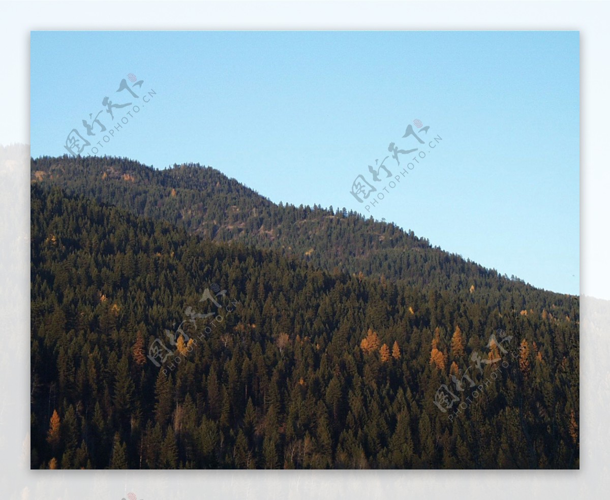 山区草木自然风景贴图素材JPG0229