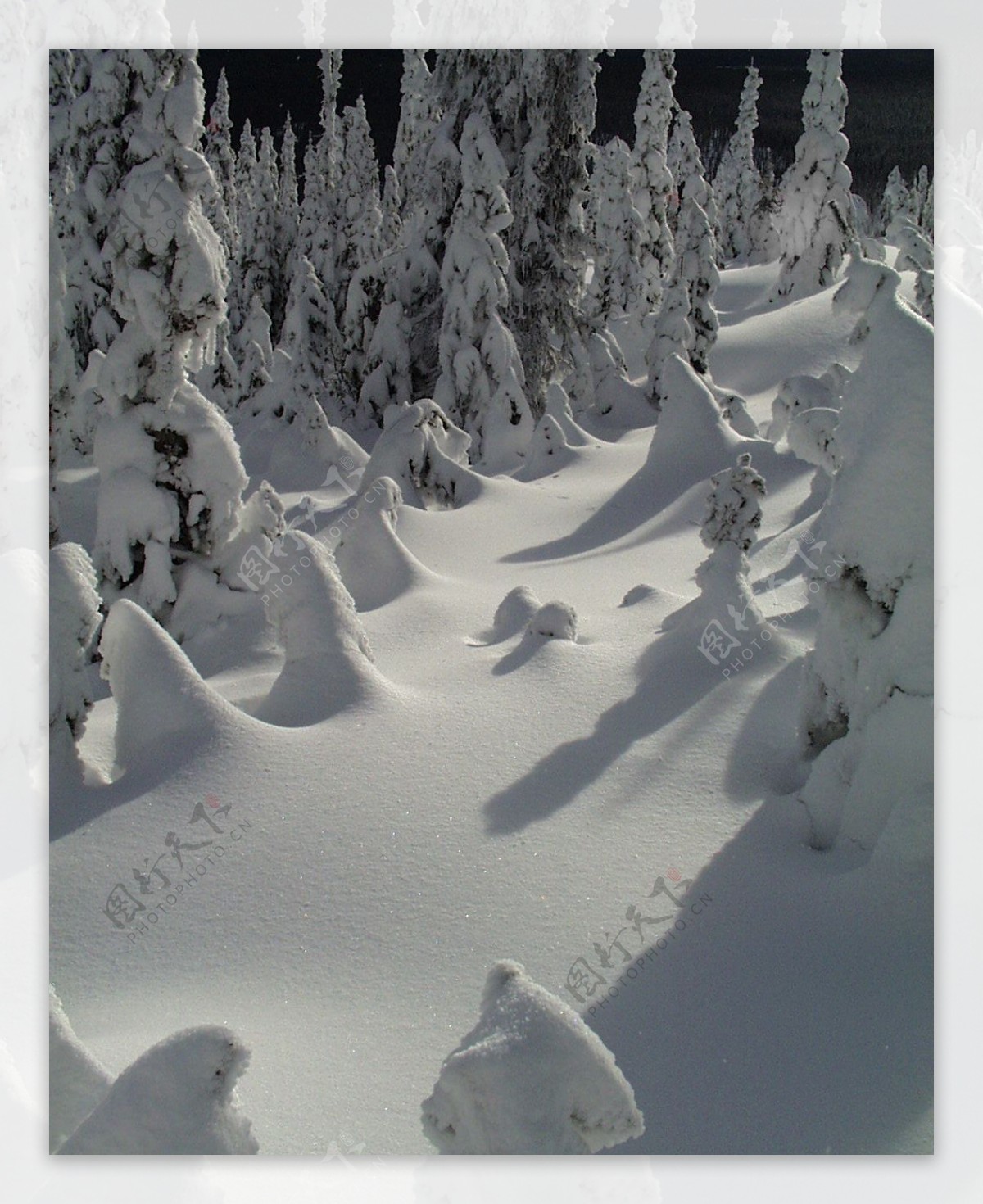 冰雪世界自然风景贴图素材JPG0301