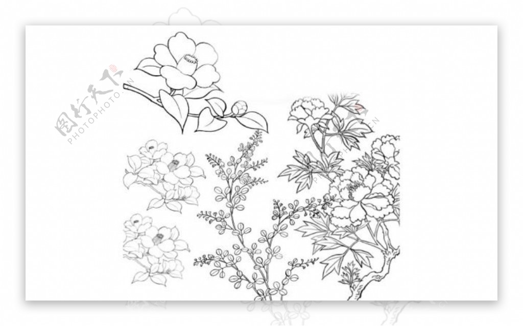 简洁的线描花朵装饰笔刷