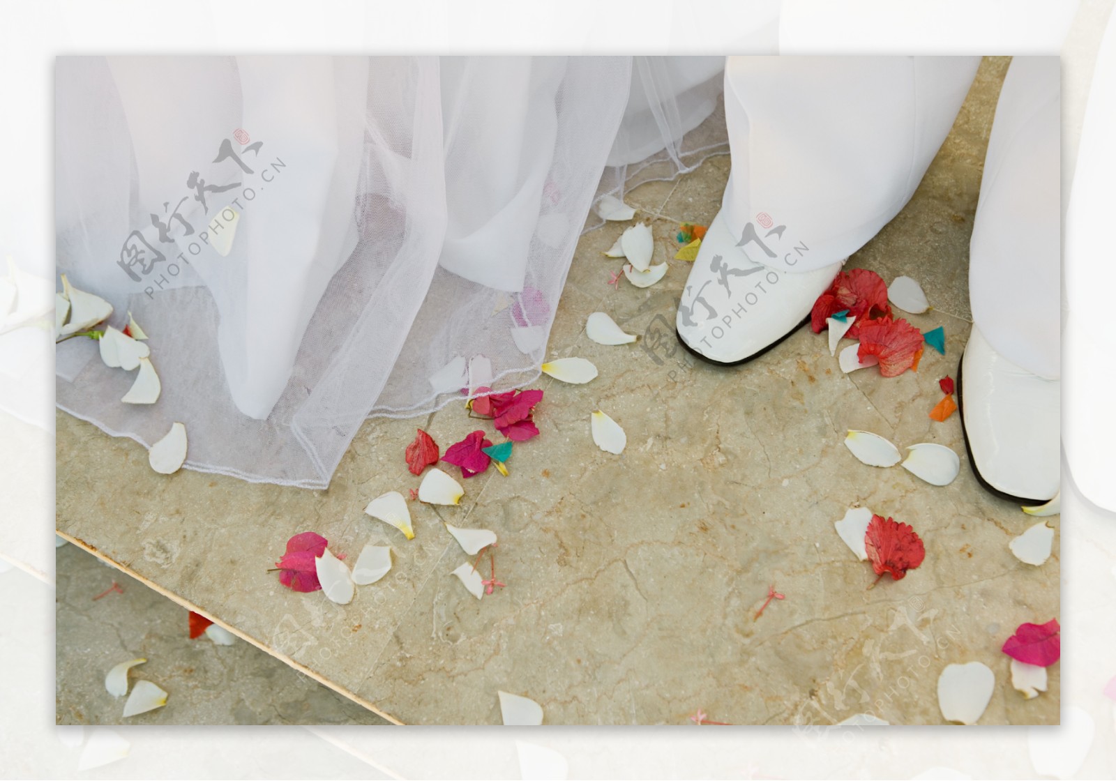 新郎新娘脚下的花瓣特写图片图片