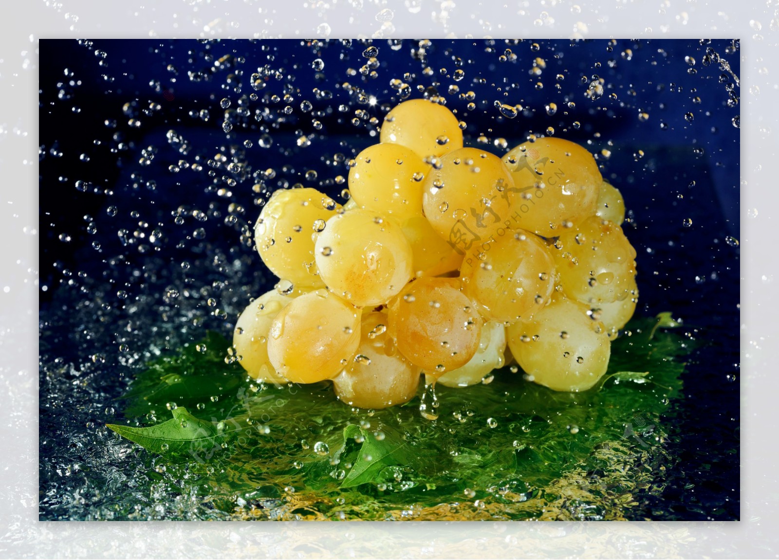 水中黄色的葡萄图片