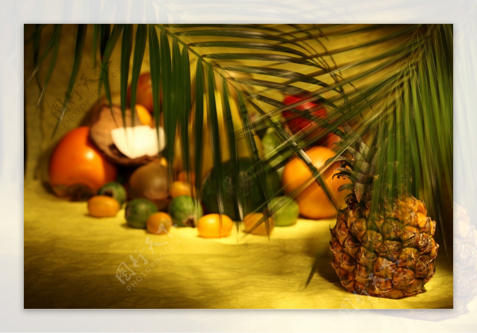椰子叶下的一堆水果图片