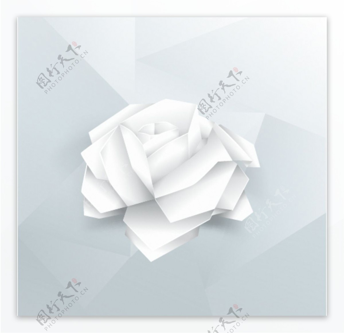 立体白色玫瑰花背景
