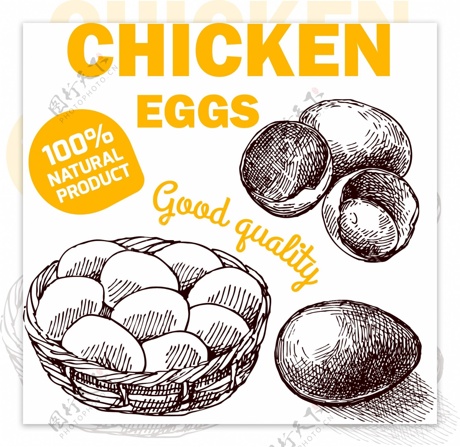 鸡蛋设计图