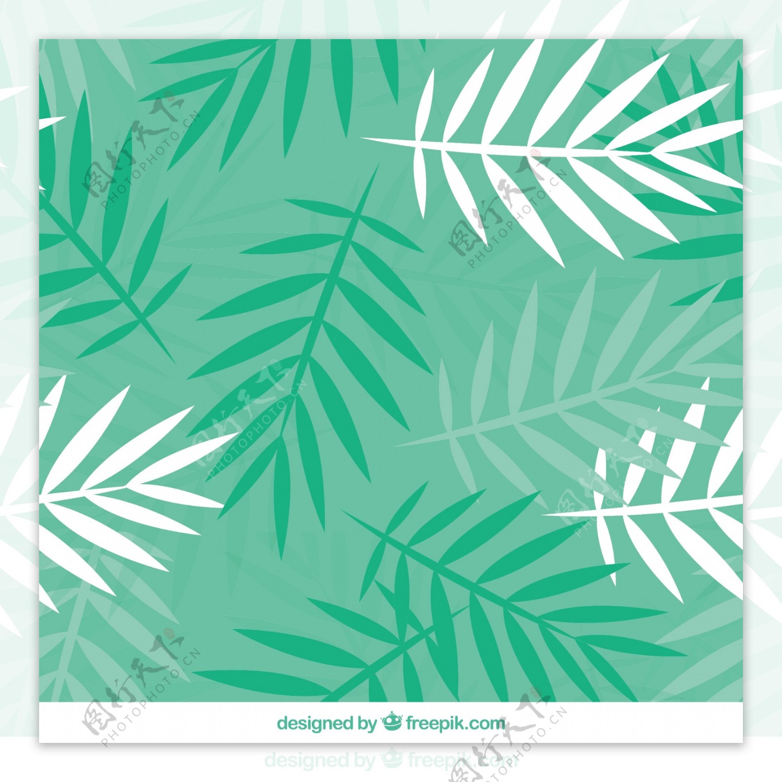 平面设计中的棕榈树叶绿色图案