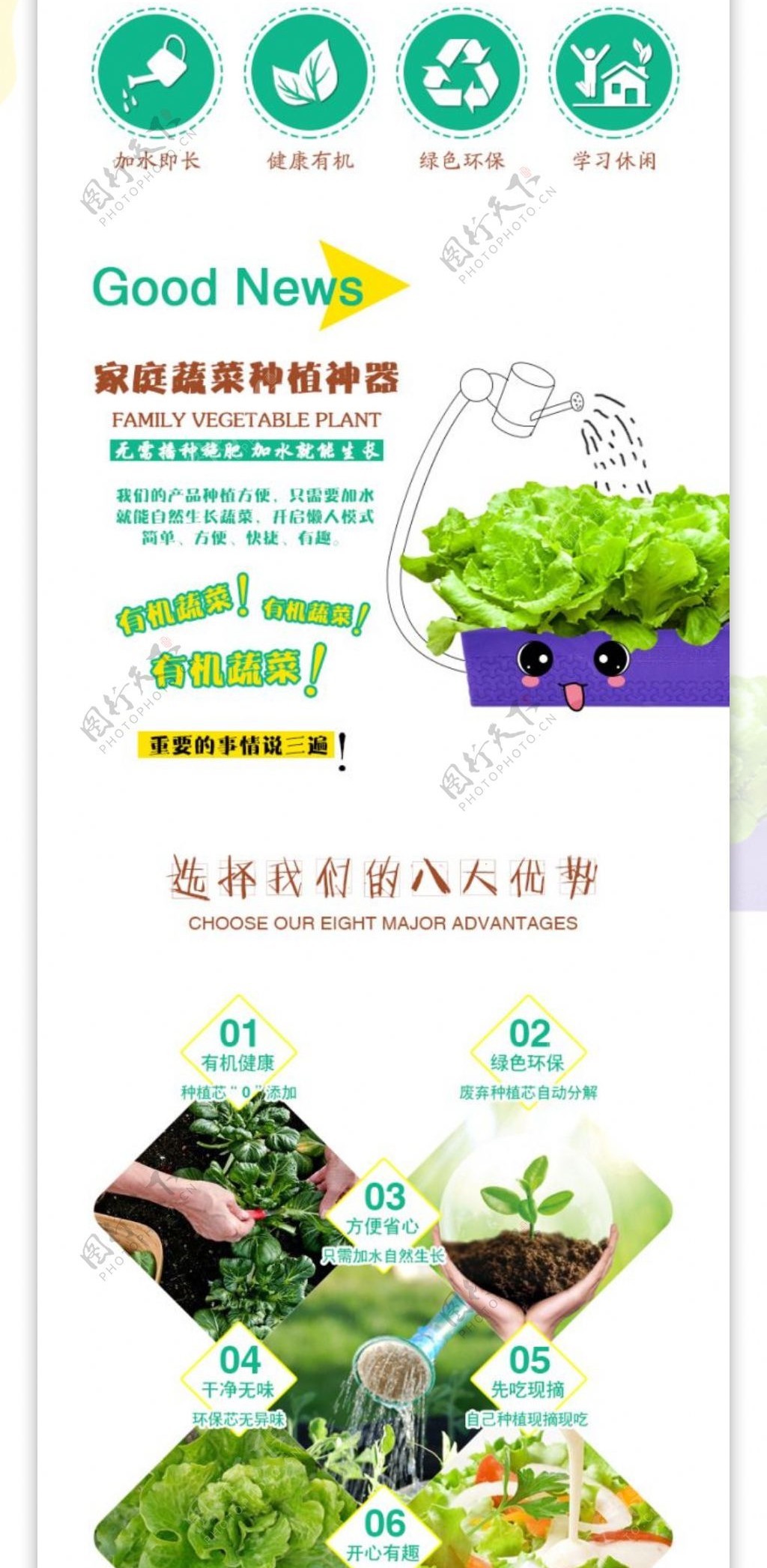 生菜有机蔬菜种植盒产品描述