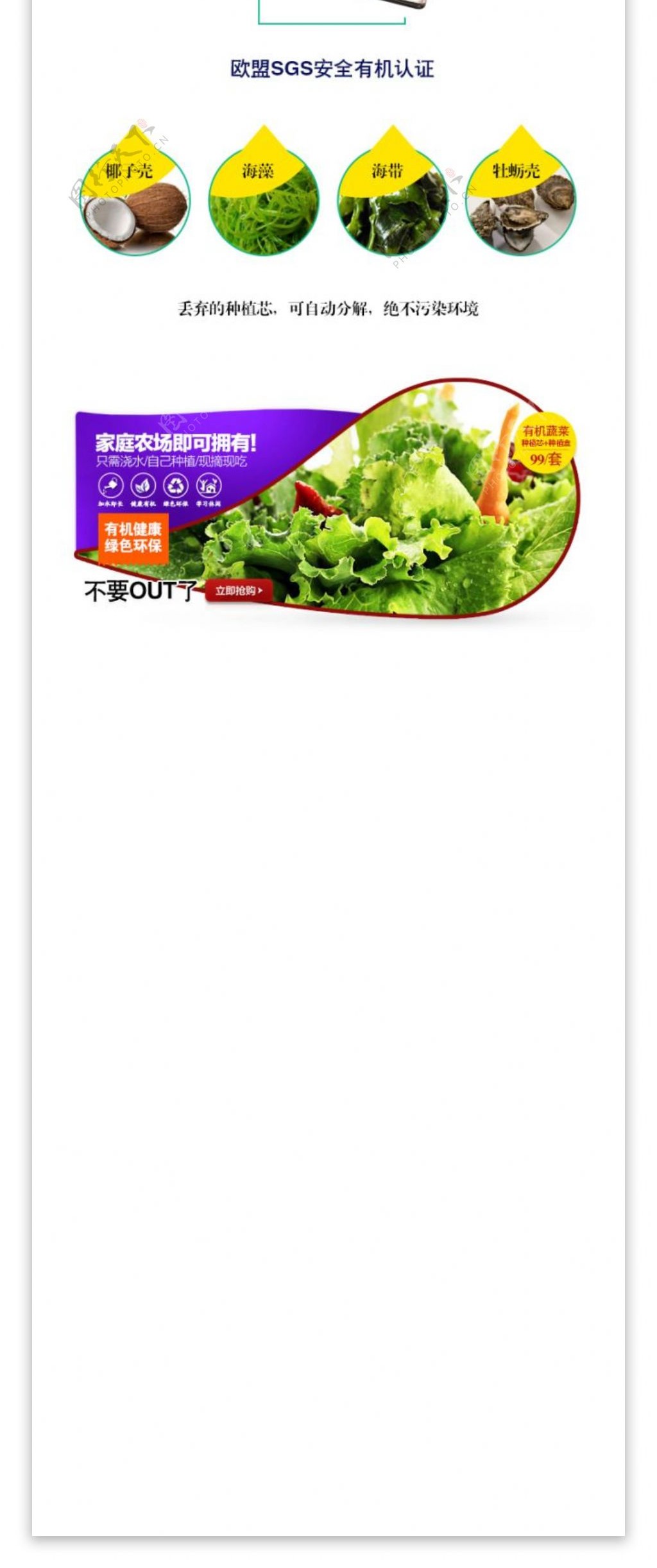 生菜有机蔬菜种植盒产品描述
