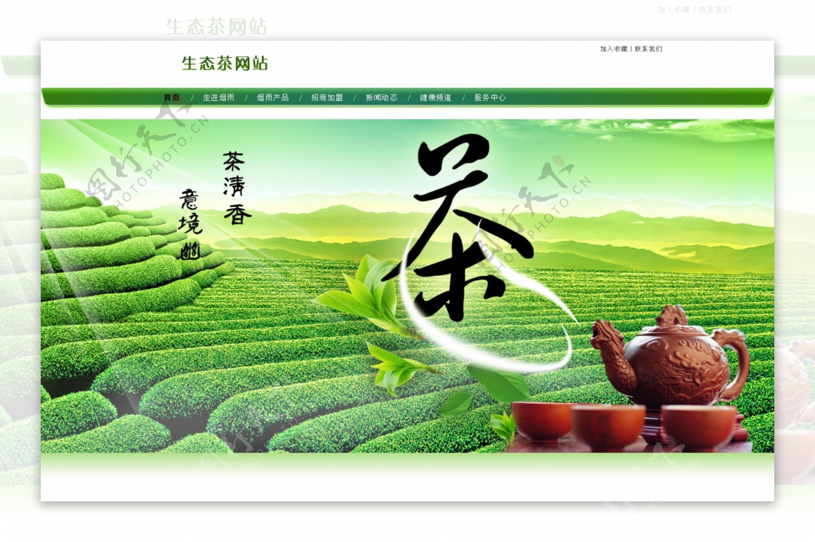 茶网站